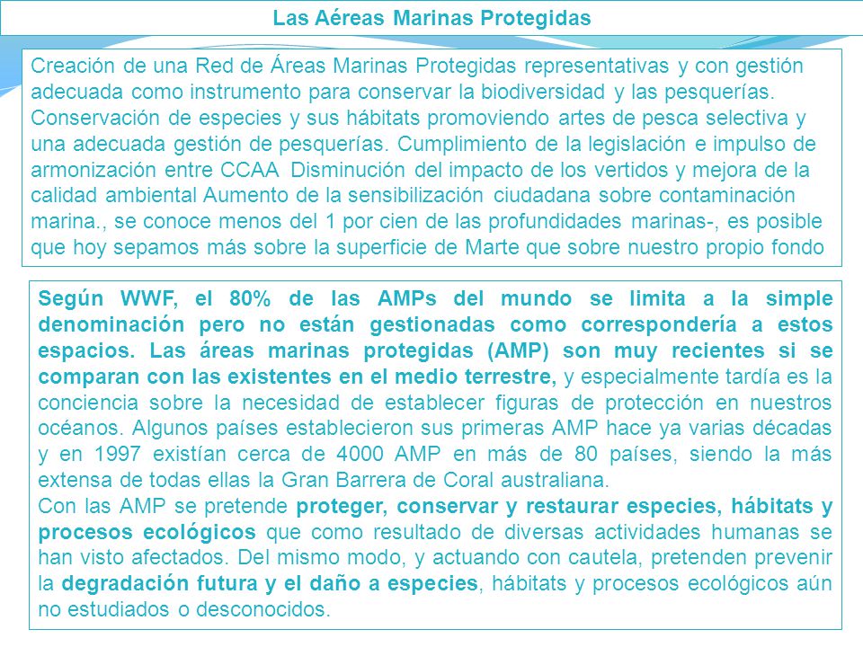Del otro lado del río todo para la pesca